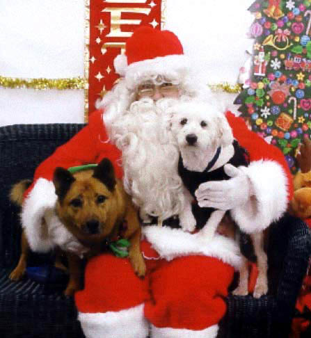 shorty-sparky-santa.jpg